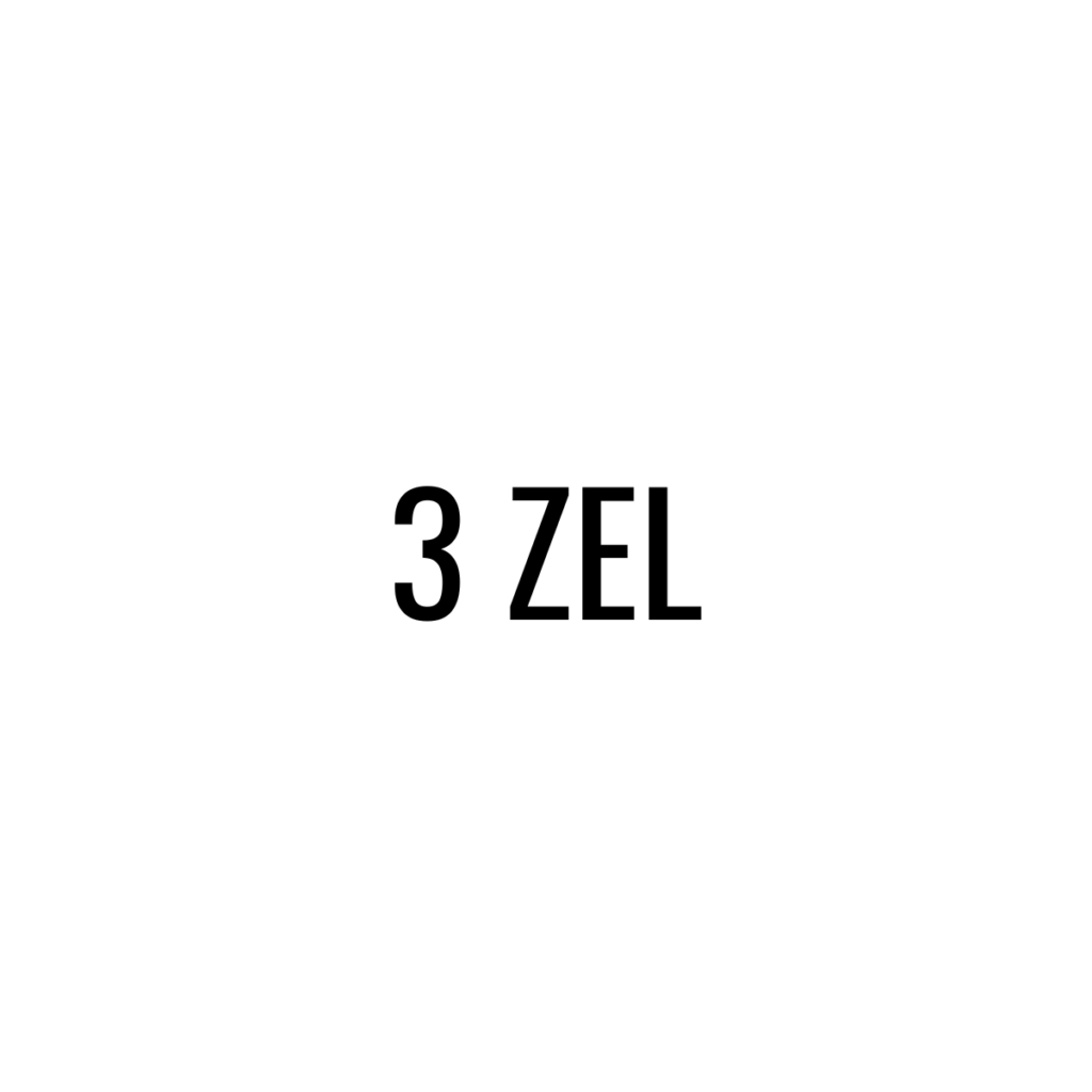 Logo 3 ZEL